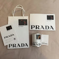 NEW Prada Marigold flowers FW Fall Winter 23 DIY planting kit decor LIMITED